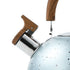 Water Kettle Stainless Steel Whistle Water Kettle Large Capacity Flat Bottomed for Gas Induction Cooker Boil Water 2L Blue