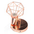 Swing Arm Wall Lamp 350 Degree Rotary Cage Shade Iron E14 Wall Lamp Holder for Rose Gold 85‑265V
