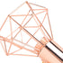 Swing Arm Wall Lamp 350 Degree Rotary Cage Shade Iron E14 Wall Lamp Holder for Rose Gold 85‑265V