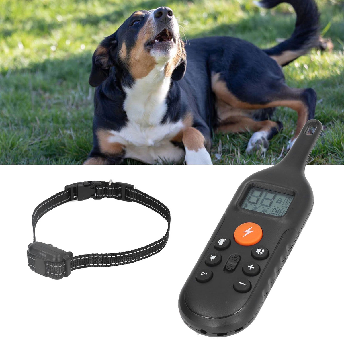 Dog Bark Collar IP67 Waterproof USB Charging Remote Control 800m Range Dog Training Collar for Outdoor