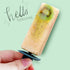 Popsicles Mold 6 Cavities Detachable Design Safe Healthy Material Durable PP Mini Popsicle Mold Blue