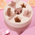Popsicles Mold 6 Cavities Detachable Design Safe Healthy Material Durable PP Mini Popsicle Mold Pink