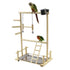 Double Layer Wooden Bird Stand Including Ladder Swing Bell Bird Athletic Toy Stand