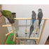 Double Layer Wooden Bird Stand Including Ladder Swing Bell Bird Athletic Toy Stand