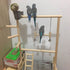 Double Layer Wooden Bird Stand Including Ladder Swing Bell Bird Athletic Toy Stand
