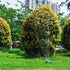 Garden Sprinklers Sprayer Automatic Swing Nozzle Lawn Sprinkler Garden Lawn Forestry Irrigation Watering Tool