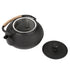 800ml Japanese Style Cast Iron Kettle Teapot Removable Infuser Strainer Tea Pot