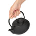 800ml Japanese Style Cast Iron Kettle Teapot Removable Infuser Strainer Tea Pot