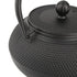 800ml Japanese Style Cast Iron Kettle Teapot Removable Infuser Strainer Tea Pot