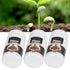 3PCS 3.5oz Rooting Powder Amino Acid Plant Fruit Rooting Powder Rooting Hormone Powder for Household Garden