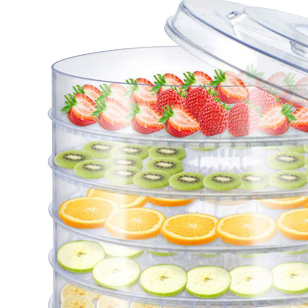 Food Dehydrator Machine Food Dehydrator for Jerky Small Dehydrated Dryer Machine for Fruits Veggies Transparent