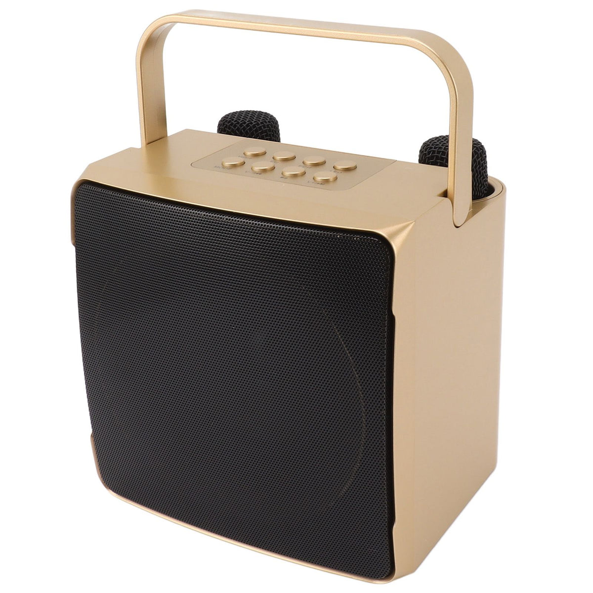 Karaoke Machine with Dual Microphone 10W Portable Bluetooth Speaker for Kids Birthday Home Party Gold