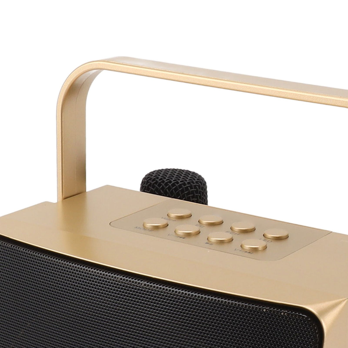 Karaoke Machine with Dual Microphone 10W Portable Bluetooth Speaker for Kids Birthday Home Party Gold