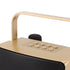 Karaoke Machine with Dual Microphone 10W Portable Bluetooth Speaker for Kids Birthday Home Party Gold