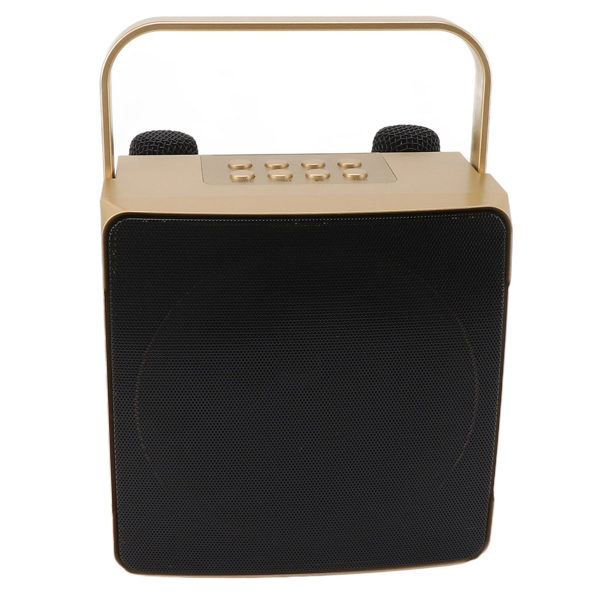 Karaoke Machine with Dual Microphone 10W Portable Bluetooth Speaker for Kids Birthday Home Party Gold