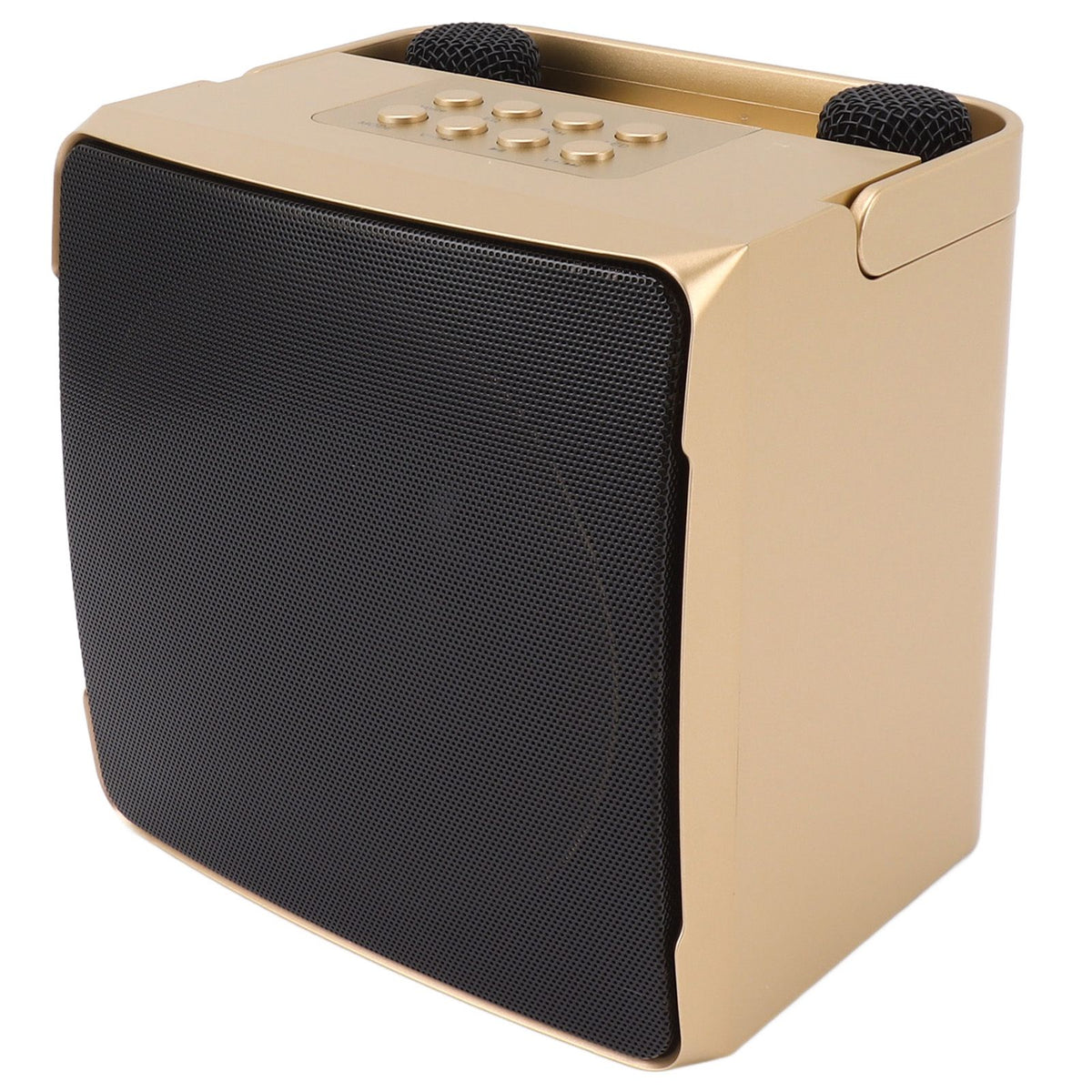 Karaoke Machine with Dual Microphone 10W Portable Bluetooth Speaker for Kids Birthday Home Party Gold