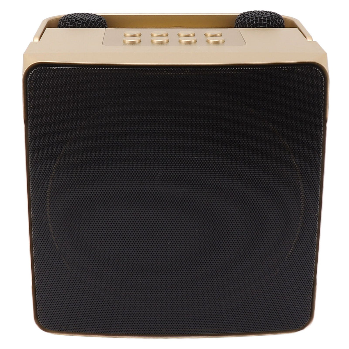 Karaoke Machine with Dual Microphone 10W Portable Bluetooth Speaker for Kids Birthday Home Party Gold