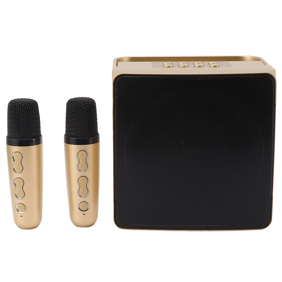 Karaoke Machine with Dual Microphone 10W Portable Bluetooth Speaker for Kids Birthday Home Party Gold