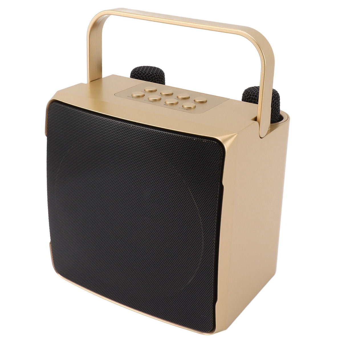 Karaoke Machine with Dual Microphone 10W Portable Bluetooth Speaker for Kids Birthday Home Party Gold