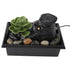 Tabletop Waterfall Fountain with LED Yellow Lights Simulated Succulent Circulating Flowing Water USB Powered Indoor Water Fountain with Rocks