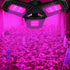 LED Plant Grow Light Foldable Red and Blue Spectrum Plant Light Triple Leaf Trellis Nursery Grow Lights