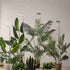 Plant Grow Light Floor Lamp Full Spectrum Sunlight Large Potted Plant Fill Light 3/9/12 Hours Timing 10 Levels Dimming