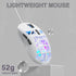SOLAKAKA SM901 Gaming Mouse,13800DPI RGB Mouse with Programmable Buttons,53g Lightweight Wired Mouses for Gamer,white
