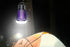 Electric Zapper Portable Rechargeable Mosquito Killer Lamp Trap -Black