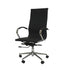 EBGO Adjustable High-Back Office Chair