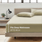 2 Piece Fitted Sheet Set- Fitted Sheet & Pillowcases -Breathable Bedding - Wrinkle, Fade, Stain Resistant- 40cm Deep Pocket Fitted Bed Sheet Set(Cream White,King Single)
