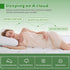 800GSM Mattress Topper Viscose Derived from Bamboo, Thick Pillowtop Fitted Mattress Cover with 45cm Deep Skirt - Machine Washable Hypoallergenic（King Single,Green）