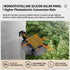 Solar Powered Smart Wall Light with Auto Dusk-to-Dawn Sensor, IP65 Waterproof Fence & Garden Accent Lighting, Available in 3000K Warm White or 6000K Cool White, Ideal for Patio, Pathway, and Courtyard Ambient Glow (8PCS, White Housing‑Cool White Light)