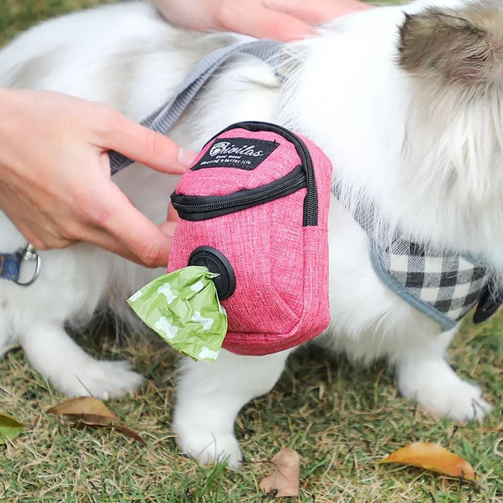 Compact mini backpack dog waste bag holder keeps your hands free during walks and training. Clips to leash or harness, stores rolls of bags plus small treats. Say goodbye to messy pockets. (Grey)
