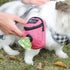 Compact mini backpack dog waste bag holder keeps your hands free during walks and training. Clips to leash or harness, stores rolls of bags plus small treats. Say goodbye to messy pockets. (Grey)
