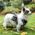 Compact mini backpack dog waste bag holder keeps your hands free during walks and training. Clips to leash or harness, stores rolls of bags plus small treats. Say goodbye to messy pockets. (Grey)