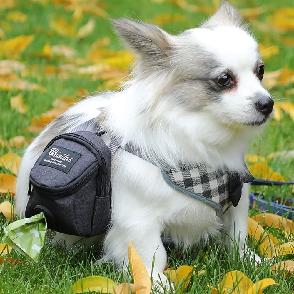 Compact mini backpack dog waste bag holder keeps your hands free during walks and training. Clips to leash or harness, stores rolls of bags plus small treats. Say goodbye to messy pockets. (Grey)