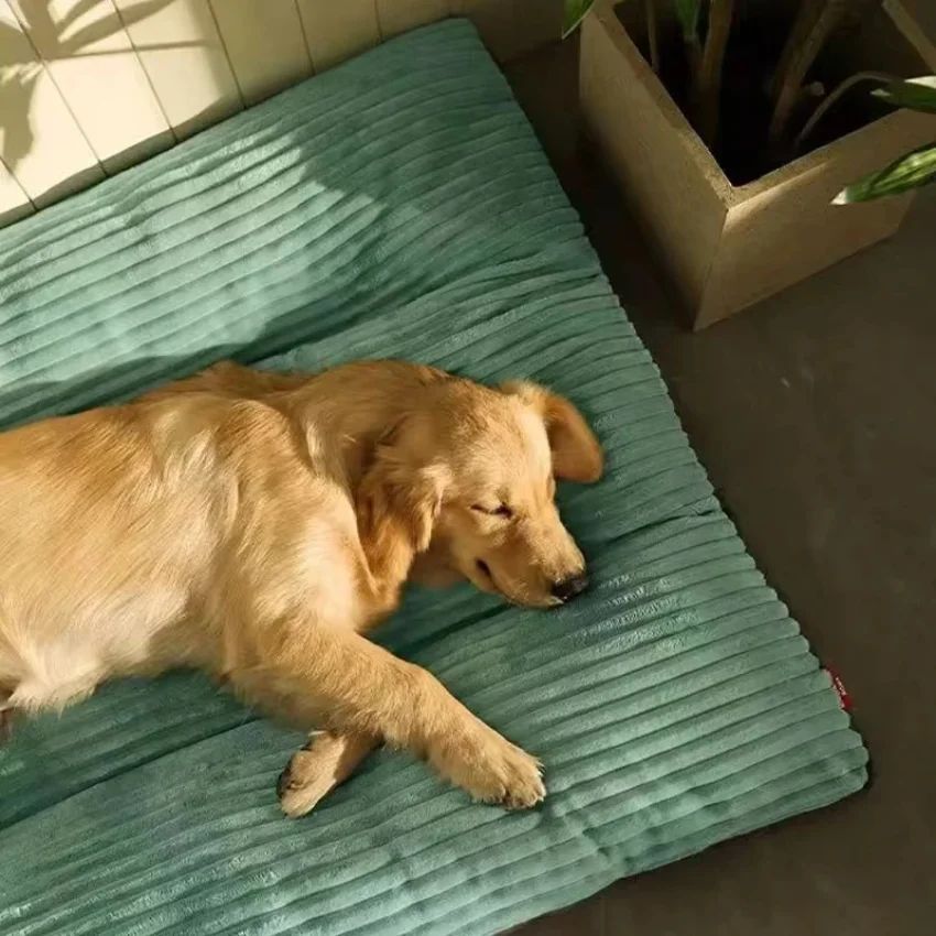 Luxuriously Soft and Thick Pet Sleeping Mat, Perfect Four-Season Floor Bed for Dogs and Cats, Removable Washable Cover with Waterproof Non-Slip Base, Ideal for Light Sleepers and All Breeds (3XL,Green)