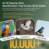 Smart Bird Feeder with 2K-4K Ultra HD AI Bird Recognition, Solar-Powered Outdoor Camera Feeder for Garden, Balcony, or Tree Mounting, Ideal for Bird Watching Enthusiasts and Backyard Wildlife Lovers (4K, Green)