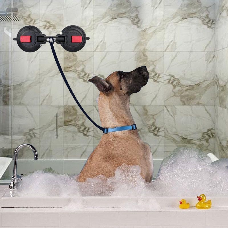Heavy-Duty Suction Cup Anchor for Large Dogs, Dual 120mm Cups, Rotating Ring