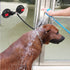 Heavy-Duty Suction Cup Anchor for Large Dogs, Dual 120mm Cups, Rotating Ring