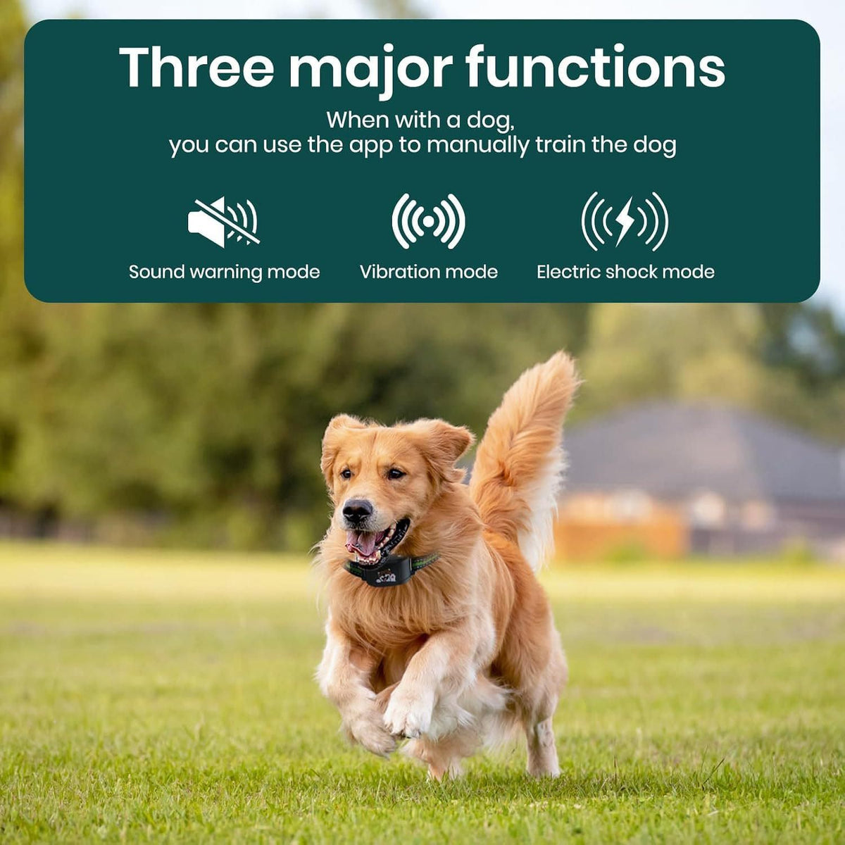 GPS Smart Pet Fence Training Collar with Wireless Boundary Control, Bluetooth App Customization, and Rechargeable Battery for Outdoor Dog Training and Safety (Black)