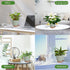 Plant Pots Indoor Set of 5 Self Watering Planters for Indoor Plants with Drainage Hole, Plastic Flower Pots for Succulents (Green)
