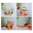 Plant Pots Indoor Set of 5 Self Watering Planters for Indoor Plants with Drainage Hole, Plastic Flower Pots for Succulents (Green)