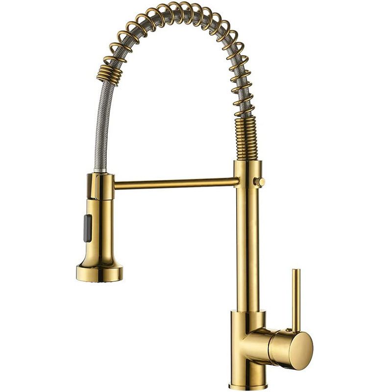 Polished Gold Kitchen Faucet with Pull Down Sprayer,Single Handle Spring Single Hole Faucet for Kitchen Sink