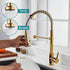 Polished Gold Kitchen Faucet with Pull Down Sprayer,Single Handle Spring Single Hole Faucet for Kitchen Sink