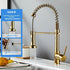 Polished Gold Kitchen Faucet with Pull Down Sprayer,Single Handle Spring Single Hole Faucet for Kitchen Sink