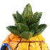 Aquarium Fish Tank Decorations Cartoon Resin Pineapple Hideaway House Aquarium Ornaments Fish Shelter Underwater