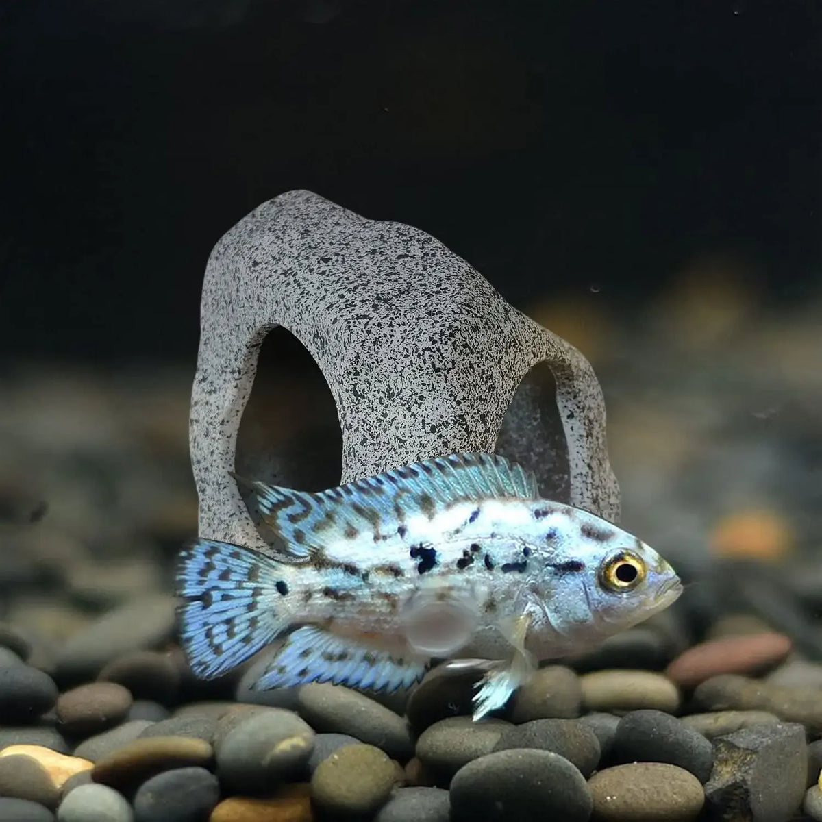 Aquarium Hideaway Rock Cave for Aquatic Pets to Breed, Play and Rest, Safe and Non-Toxic Ceramic Fish Tank Ornaments