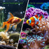 Aquarium Hideaway Rock Cave for Aquatic Pets to Breed, Play and Rest, Safe and Non-Toxic Ceramic Fish Tank Ornaments