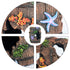 Aquarium Broken Barrel Cave Decor, Fish Tank Mountain Cave Ornaments for Betta Fish Hiding Hole House Shelter (Brown)